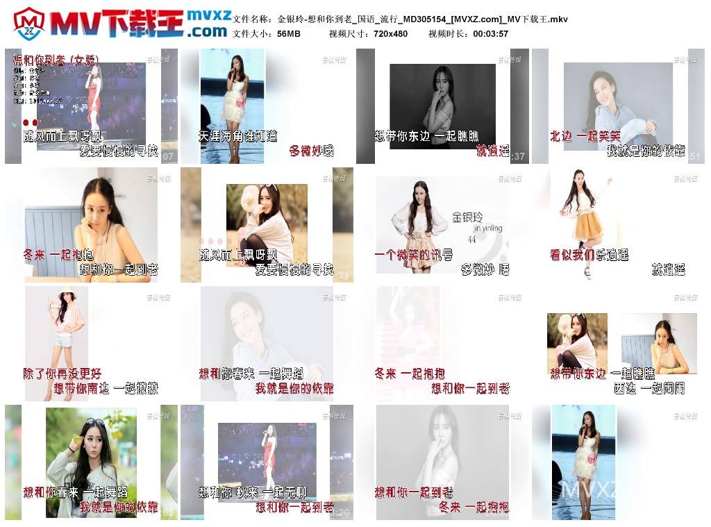 金银玲-想和你到老_国语_流行_MD305154